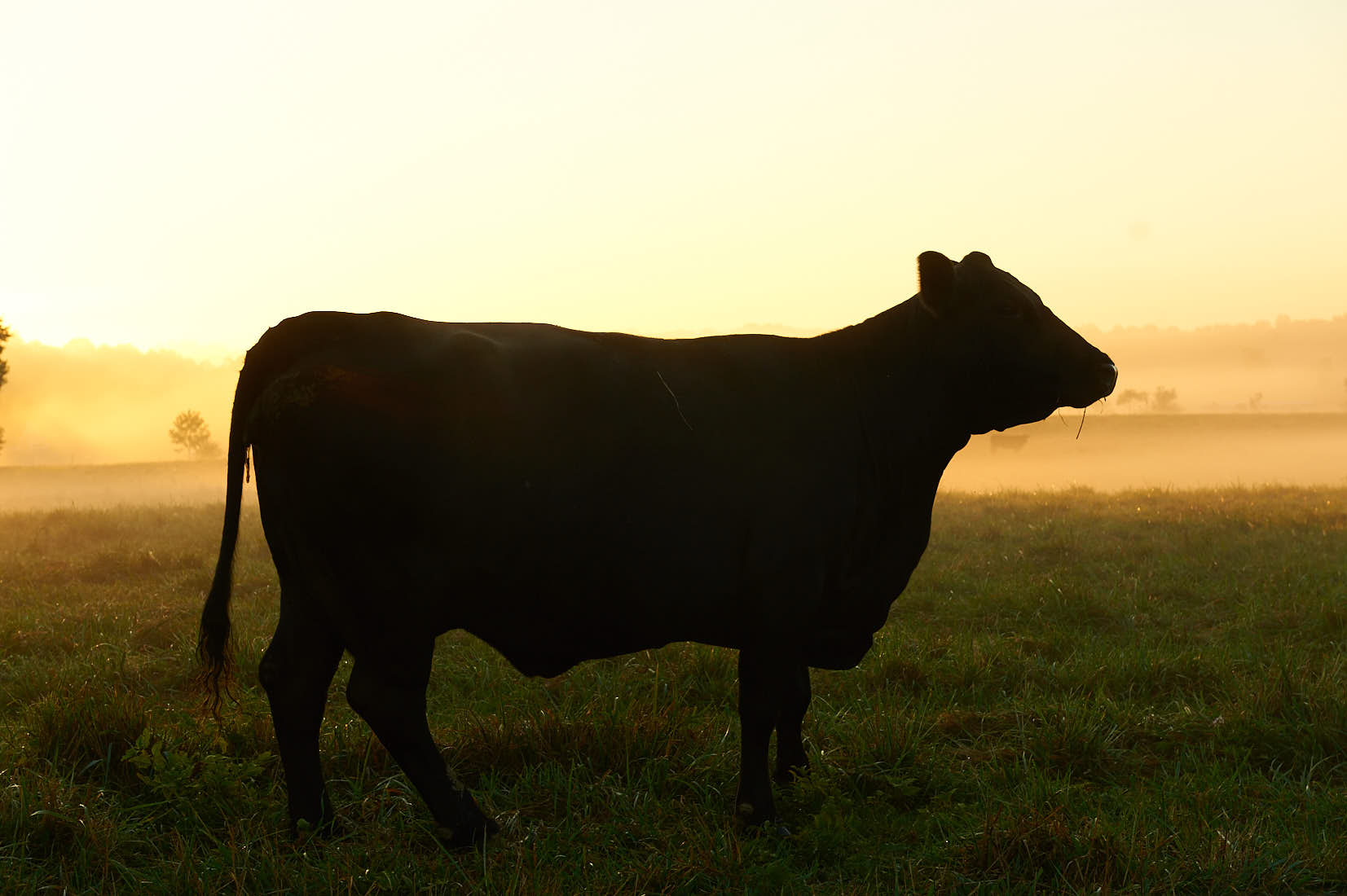 farm3a_024