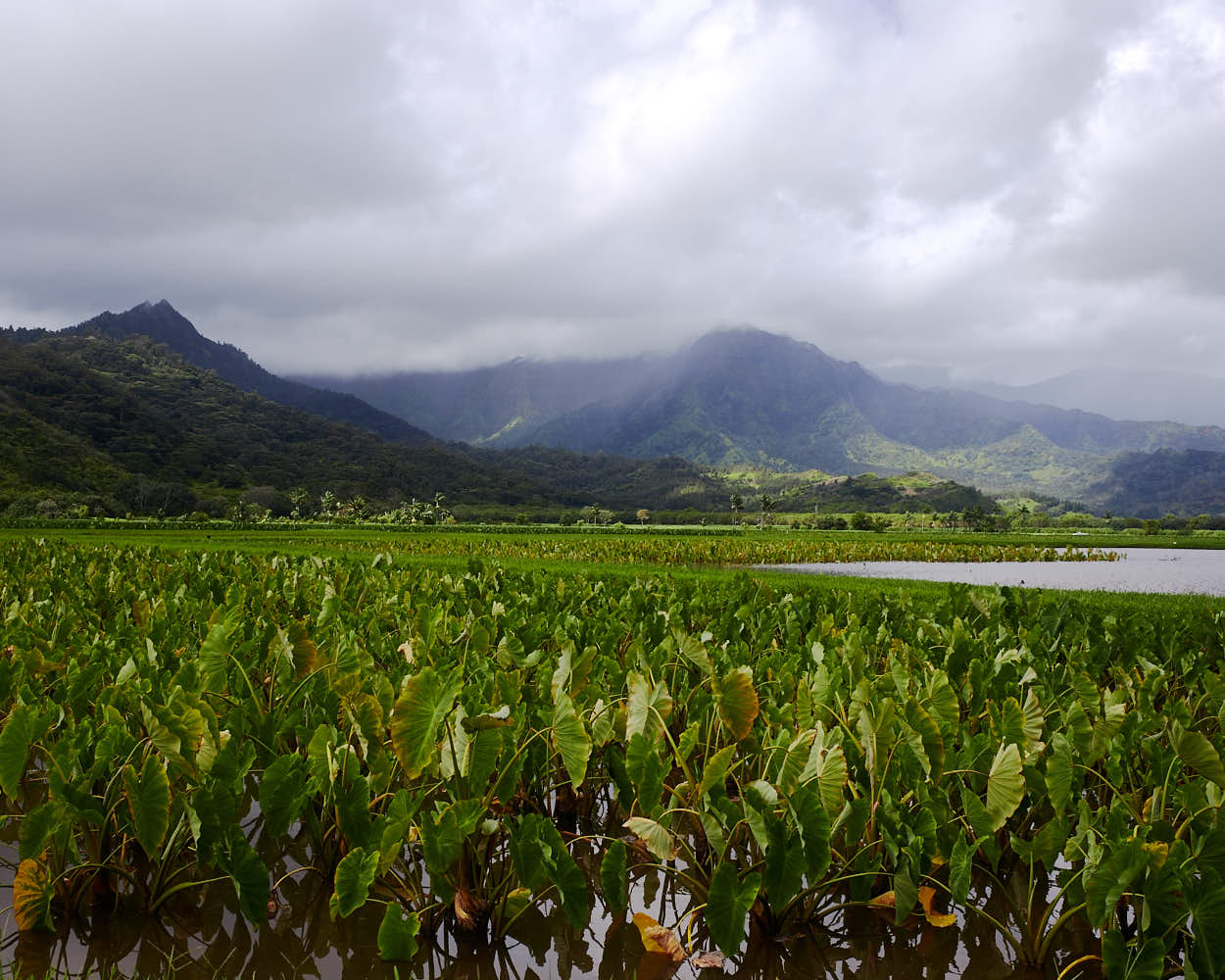 kauai002